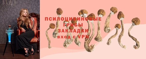 винт Абаза