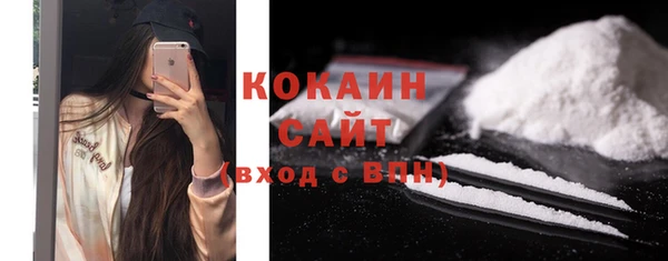 винт Абаза