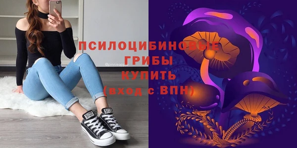 ПСИЛОЦИБИНОВЫЕ ГРИБЫ Алексин